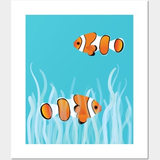 Two clown fishes swimming between sea anemones Posters and Art